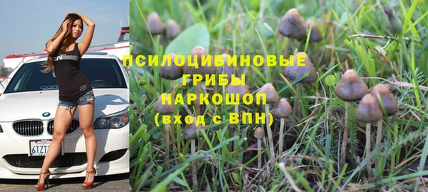 a pvp Краснослободск